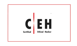 CEH (Certified Ethical Hacker) certification logo